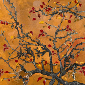 三级在线观看免费
