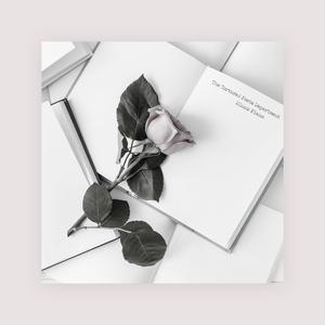 三级在线观看免费
